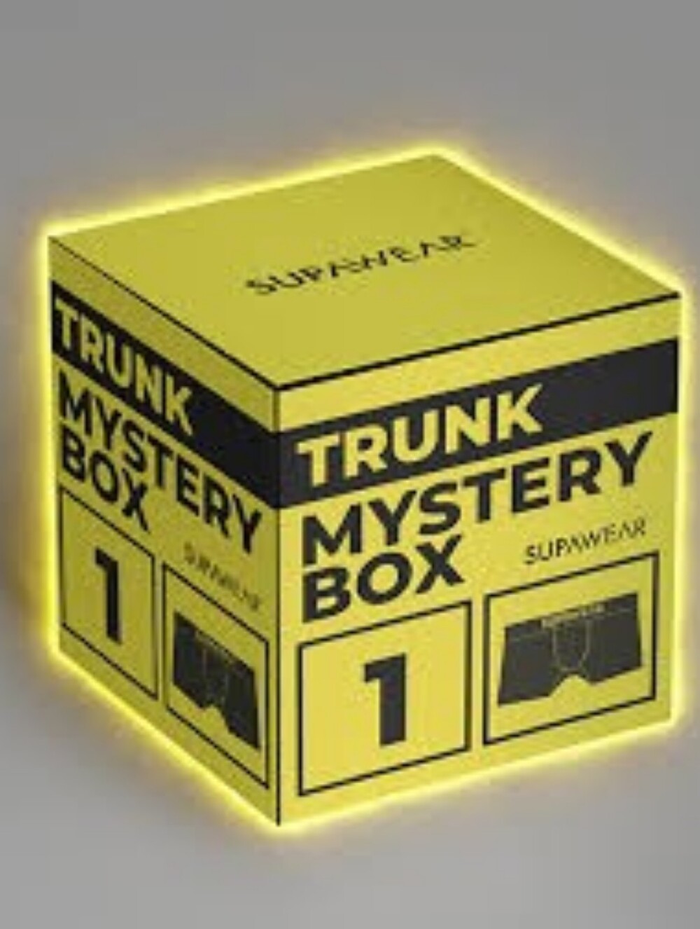 MYSTERY TRUNK PACKAGE 1 Randomly Selected Brand Name Trunk Underwear 32-34